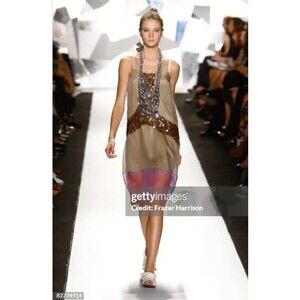 Vera wang actual runway dress spring 2008